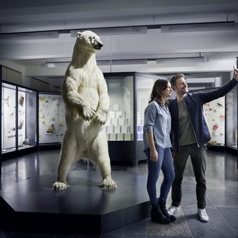 Eine Frau und ein Mann machen ein Selfie im Museum Wiesbaden vor dem Eisbär