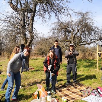 Picknick-Fotostrecke