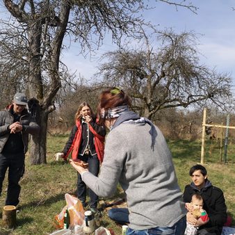 Picknick-Fotostrecke