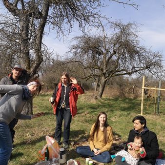 Picknick-Fotostrecke