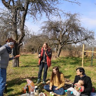 Picknick-Fotostrecke