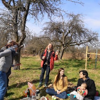 Picknick-Fotostrecke