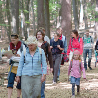 Gruppe wandert gemeinsam durch Wald