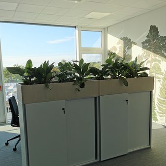 Zu sehen sind die Pflanzen auf den Raumteilern der open space-Bereiche.