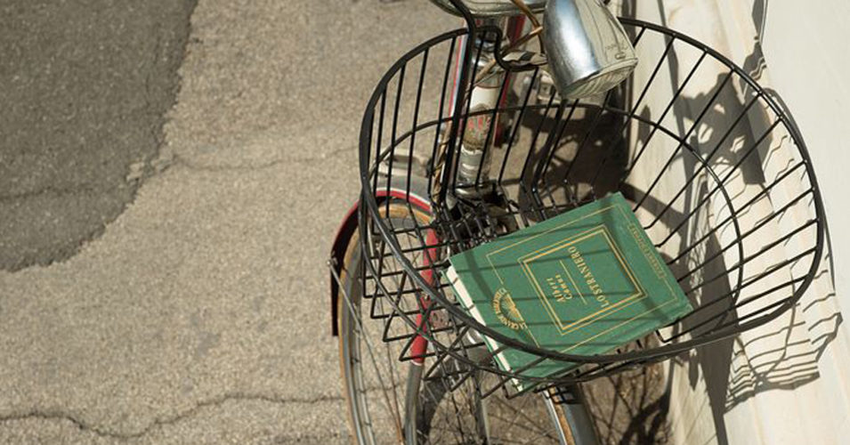 bücher zum thema fahrrad im urbanen verkehr