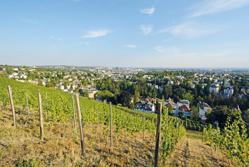 Wiesbaden vineyard locations