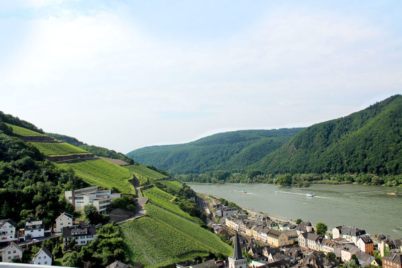A boat trip reveals the picturesque castles, palaces and vineyards of the Rheingau.