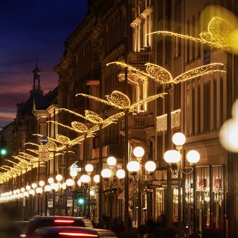 Weihnachtliches Wiesbaden - LED-Lilien auf der Wilhelmstraße